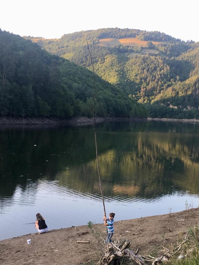 Cabana Baraj Apuseni Mountains Mihoesti Dış mekan fotoğraf