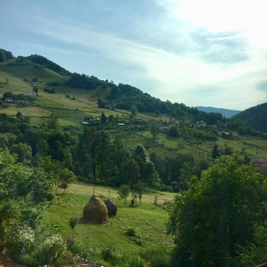 Cabana Baraj Apuseni Mountains Mihoesti Dış mekan fotoğraf