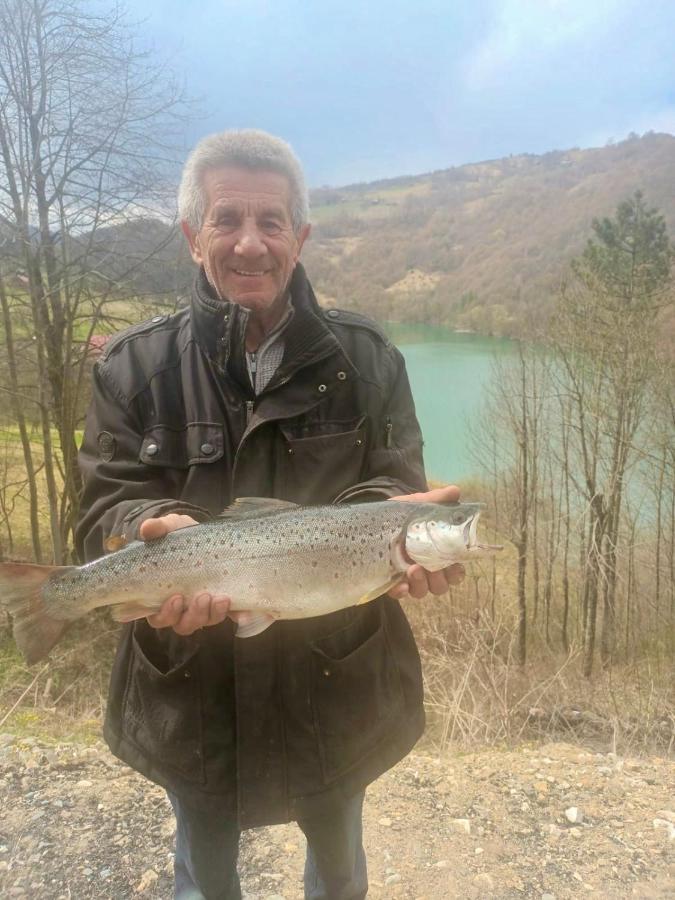 Cabana Baraj Apuseni Mountains Mihoesti Dış mekan fotoğraf
