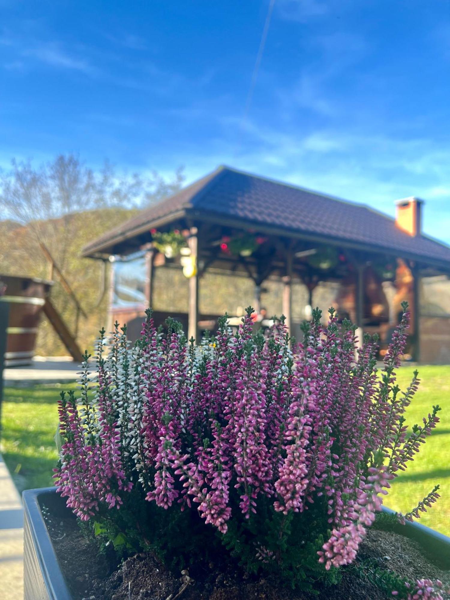 Cabana Baraj Apuseni Mountains Mihoesti Dış mekan fotoğraf