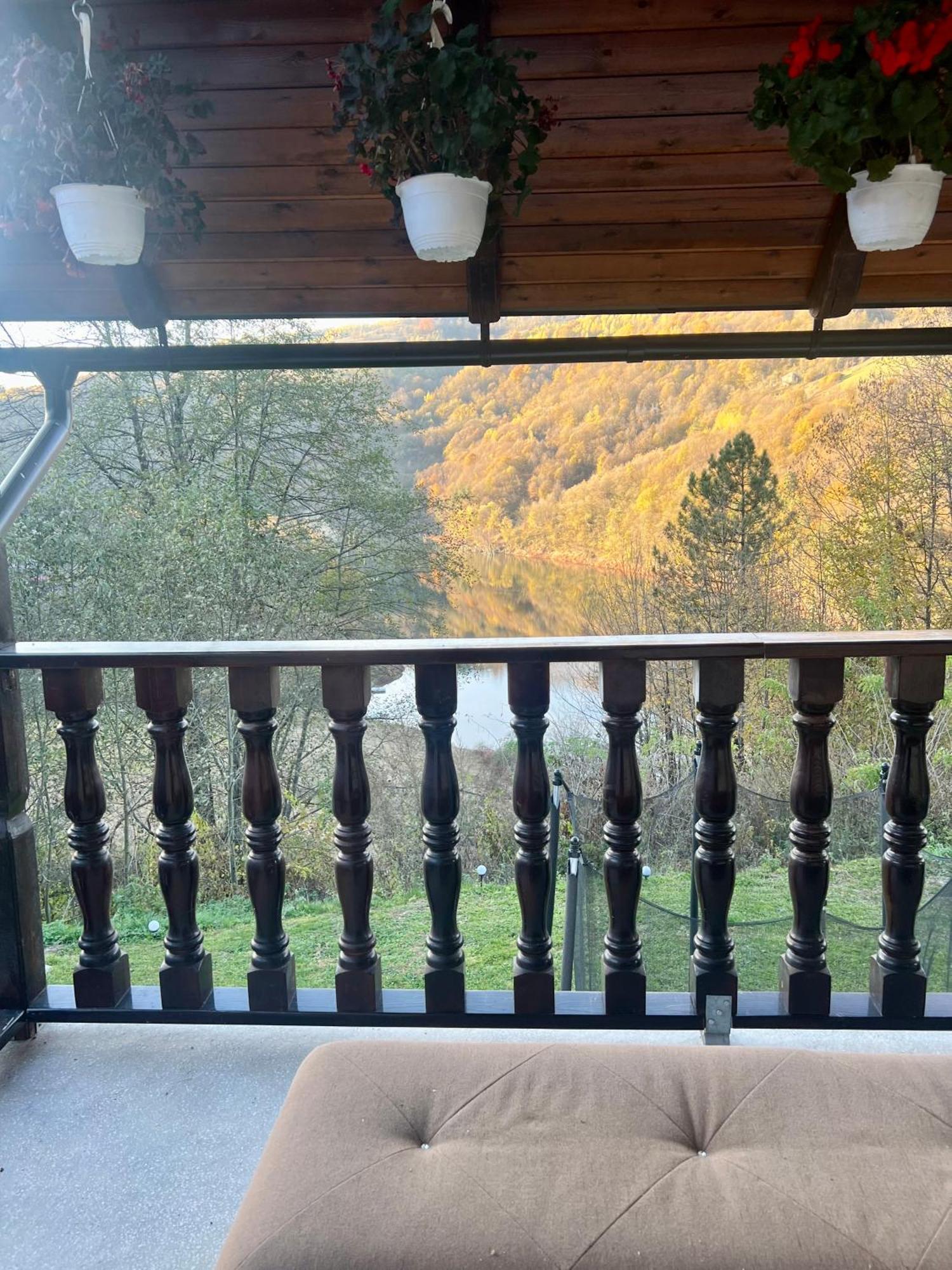 Cabana Baraj Apuseni Mountains Mihoesti Dış mekan fotoğraf