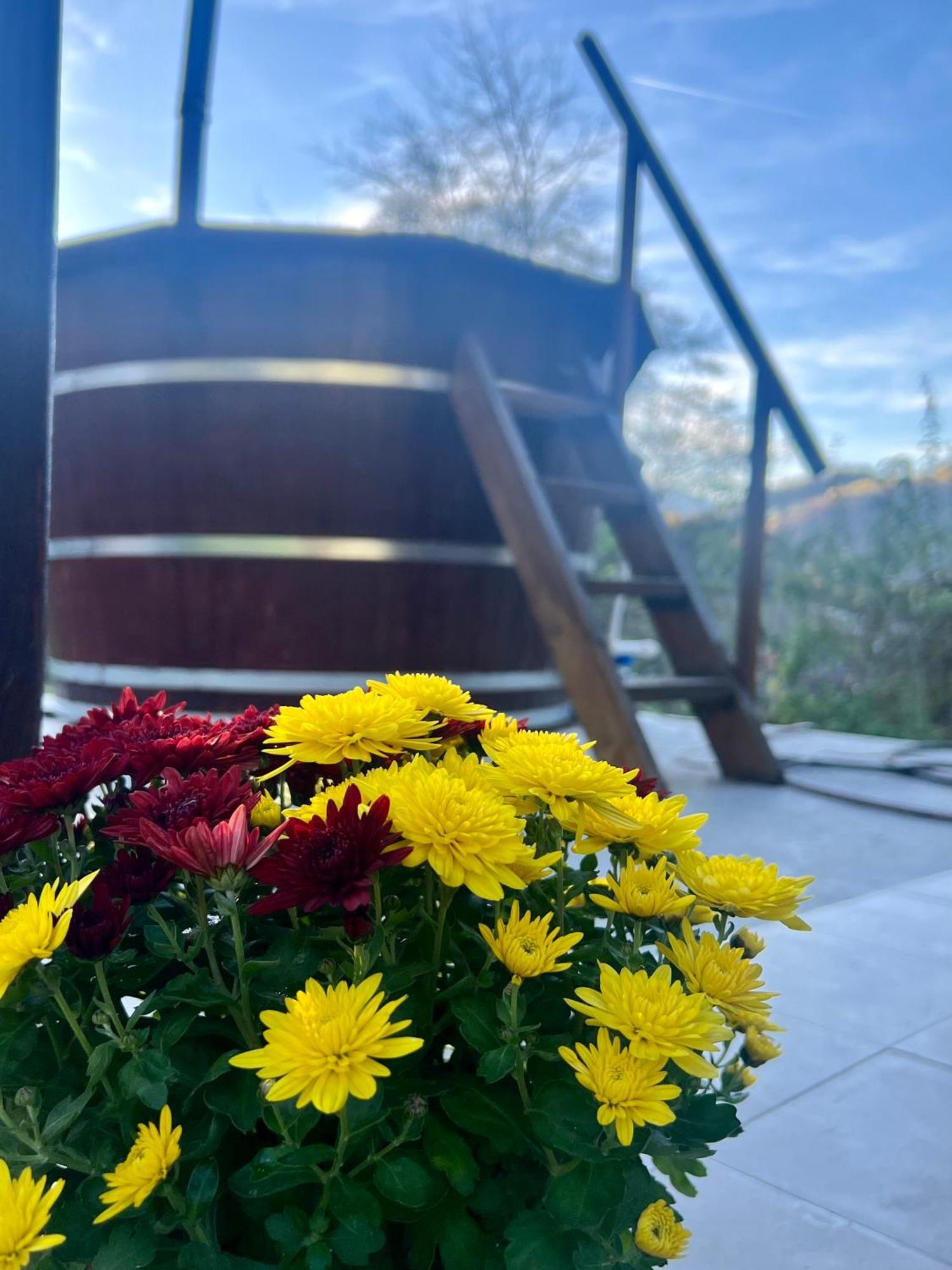 Cabana Baraj Apuseni Mountains Mihoesti Dış mekan fotoğraf